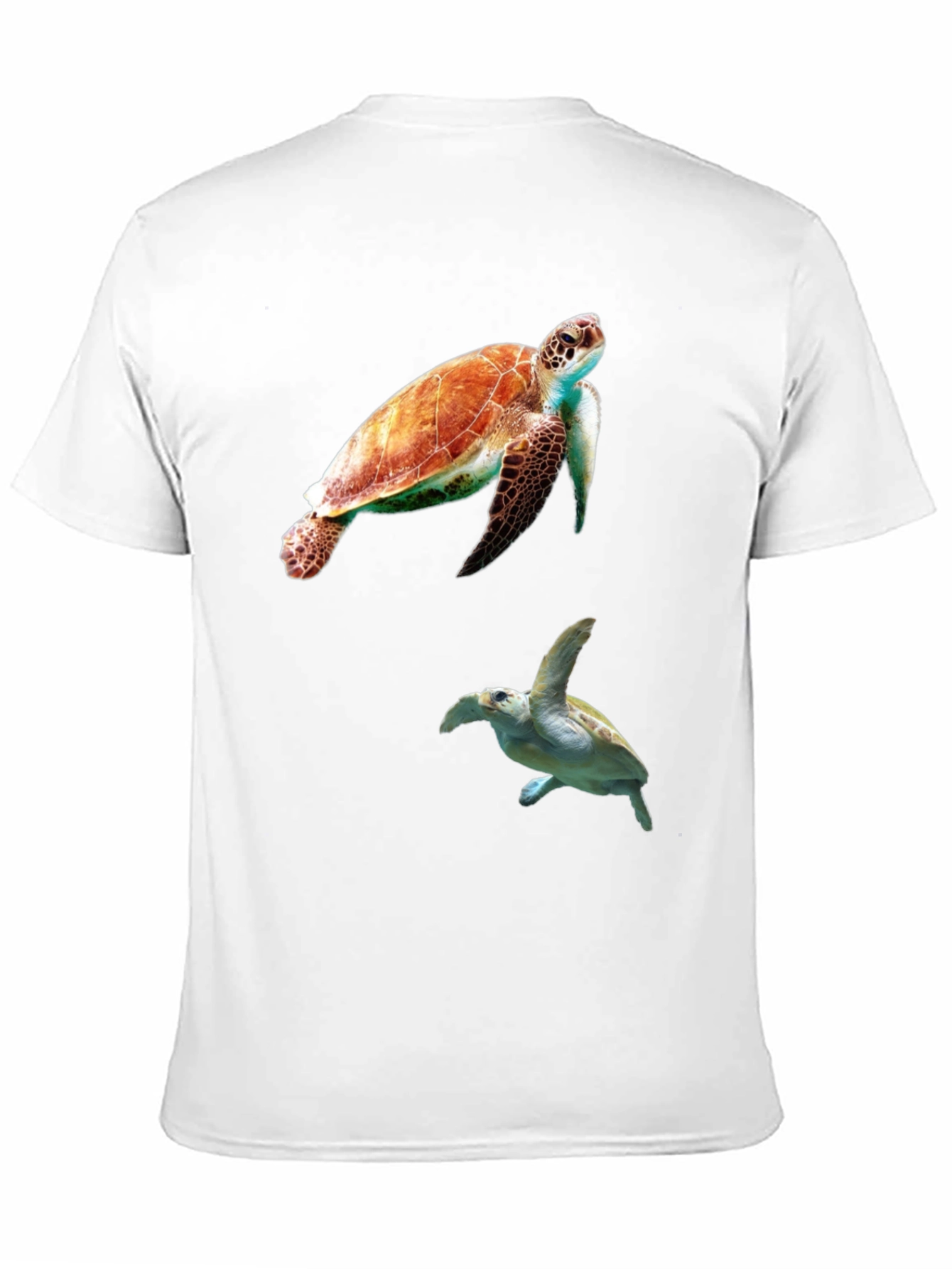 Turtle Graphic Tee - Ocean Life Design