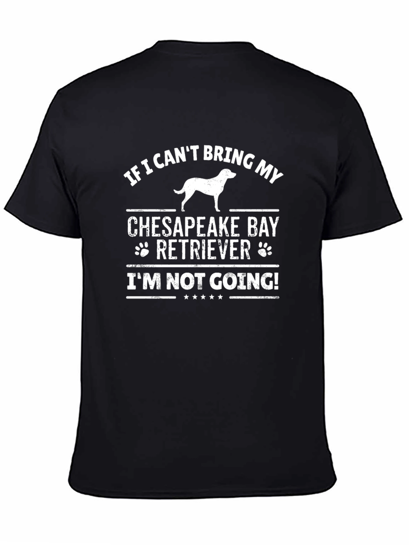 Chesapeake Bay Retriever Dog Lover T-Shirt