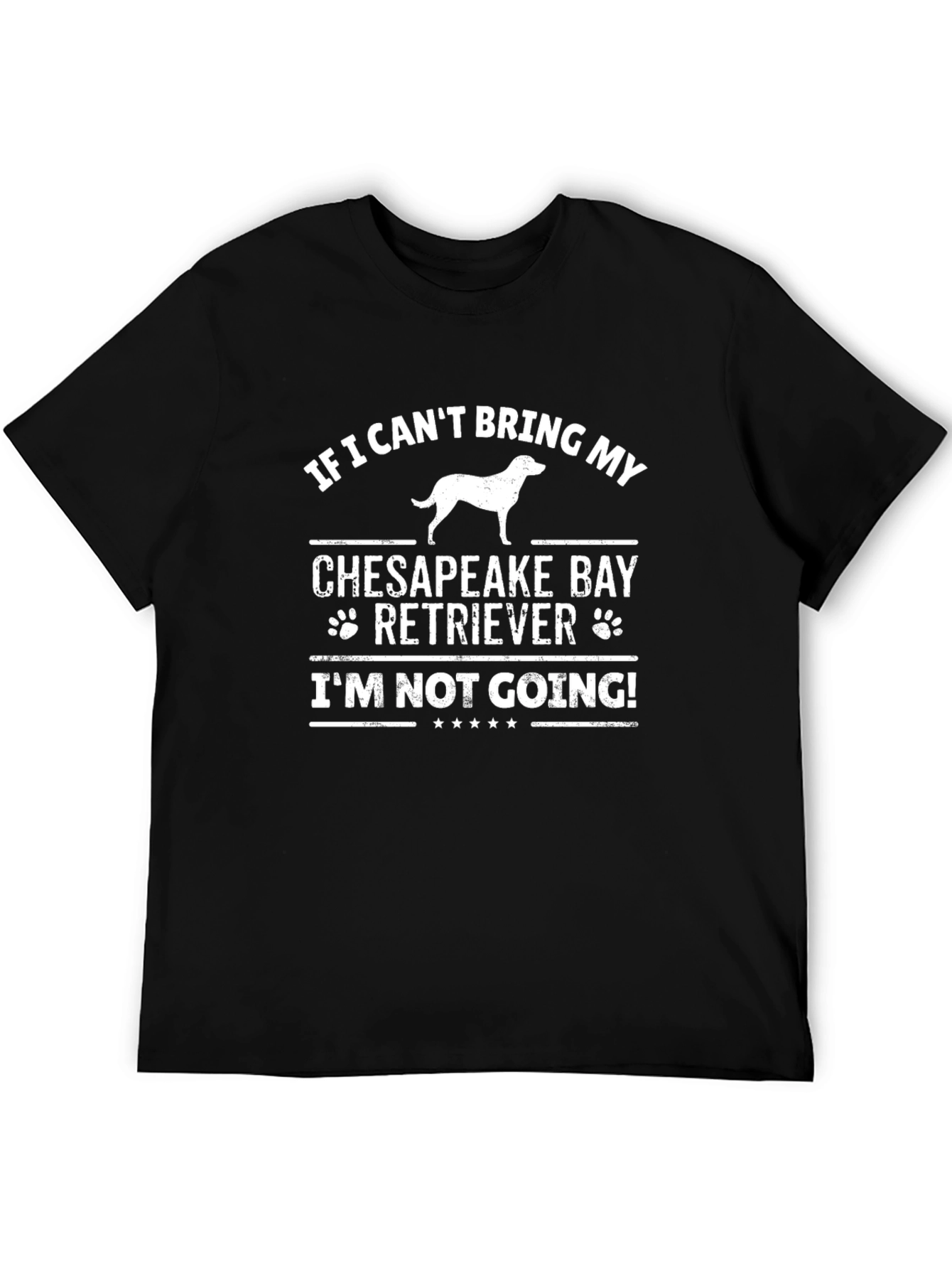 Chesapeake Bay Retriever Dog Lover T-Shirt
