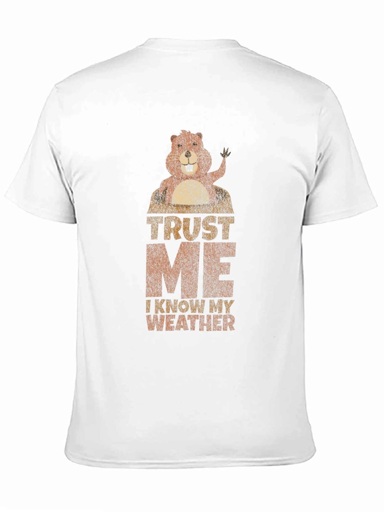 Trust Me I Know My Weather Graphic T-Shirt
