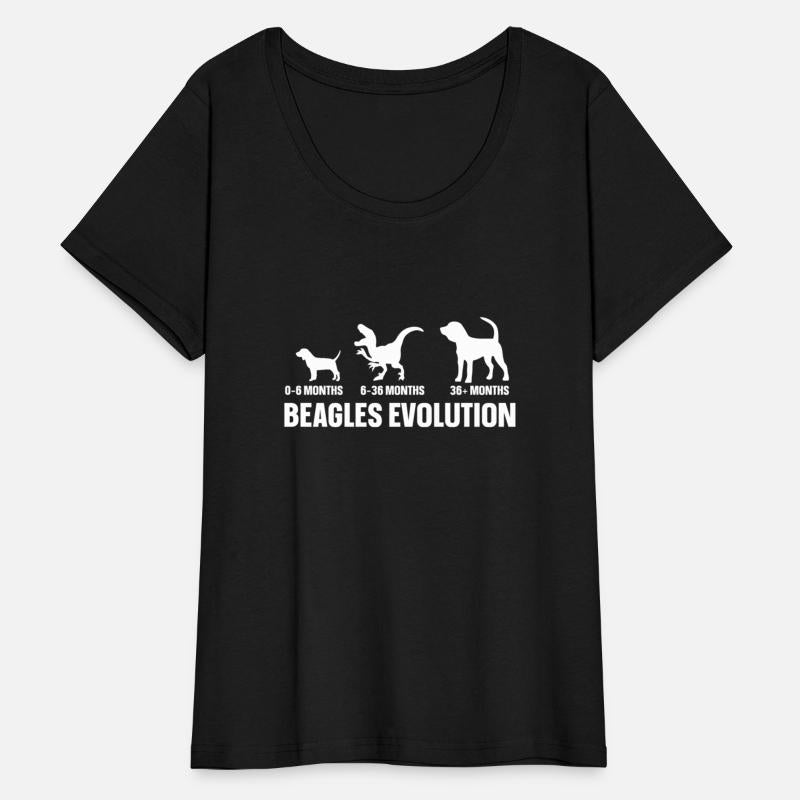 Beagles Evolution For A Beagle Owner