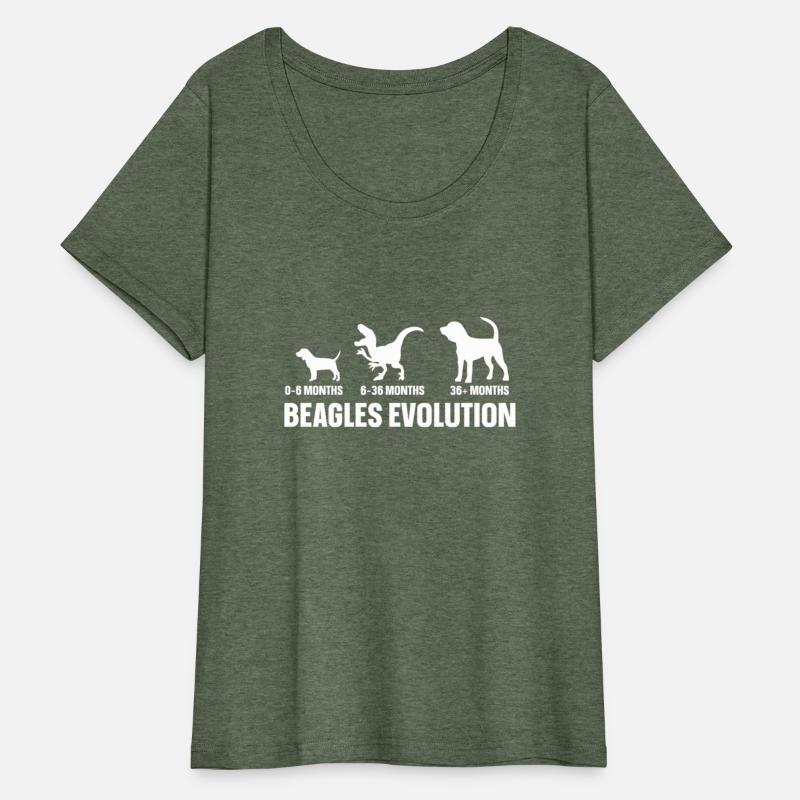 Beagles Evolution For A Beagle Owner