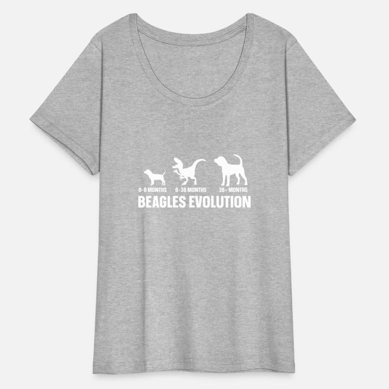 Beagles Evolution For A Beagle Owner