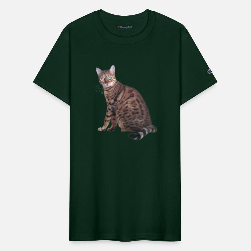 Bengal Cat