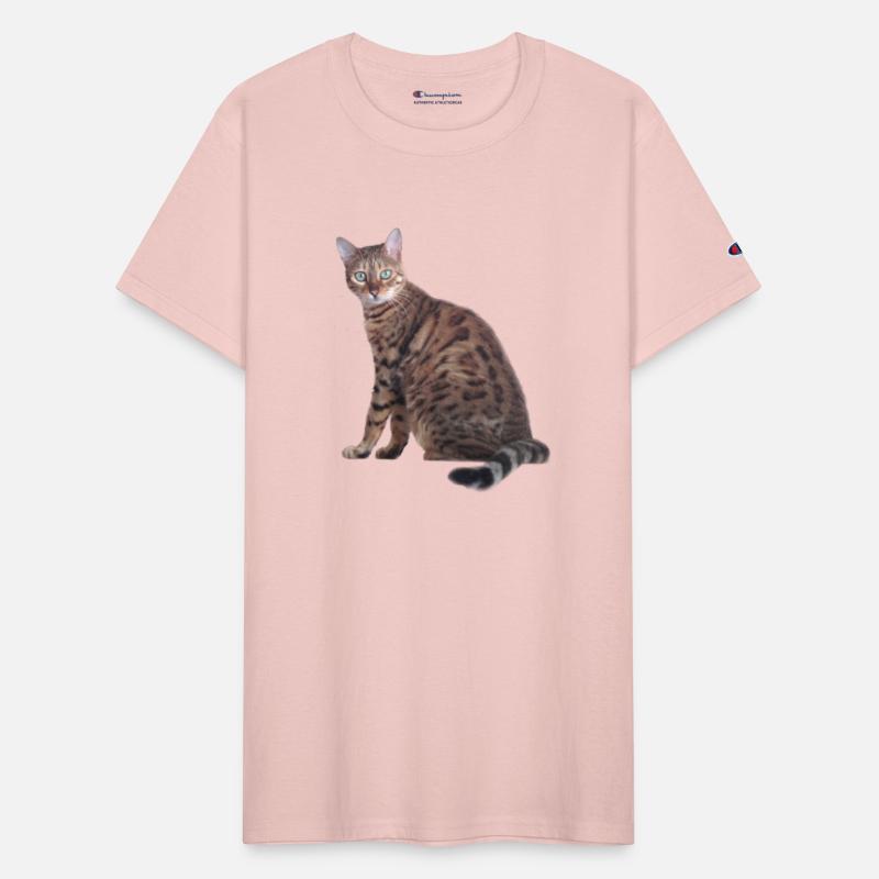 Bengal Cat