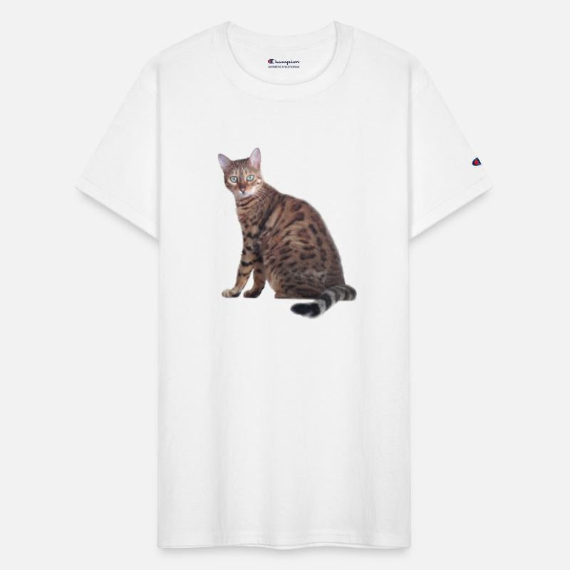 Bengal Cat