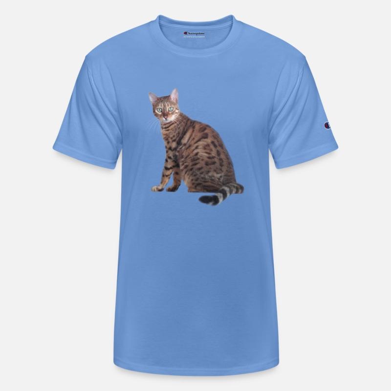 Bengal Cat
