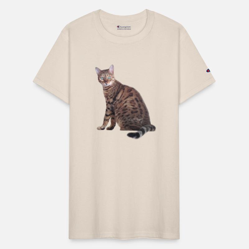 Bengal Cat