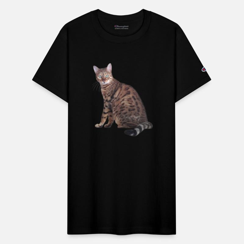 Bengal Cat