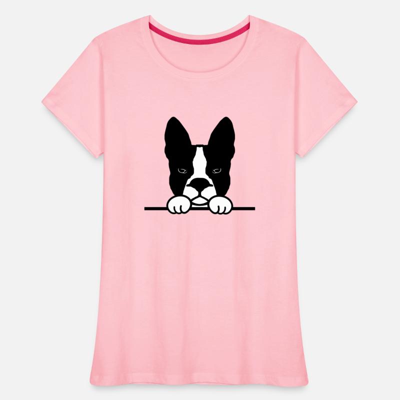 Boston Terrier Dog breed