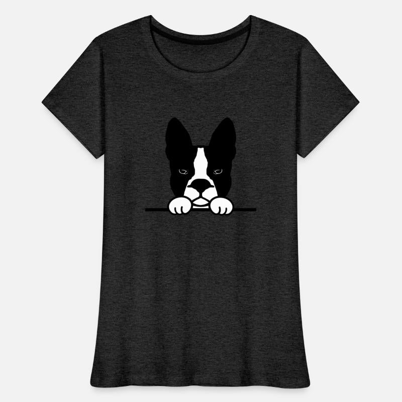 Boston Terrier Dog breed