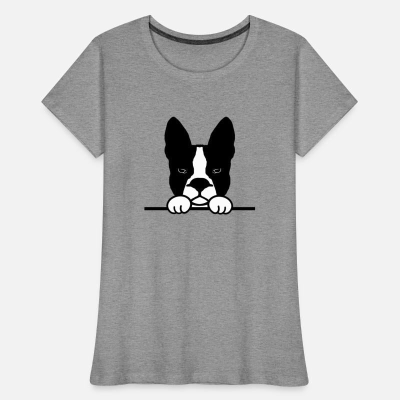 Boston Terrier Dog breed