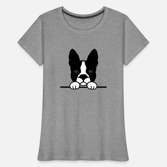 Boston Terrier Dog breed