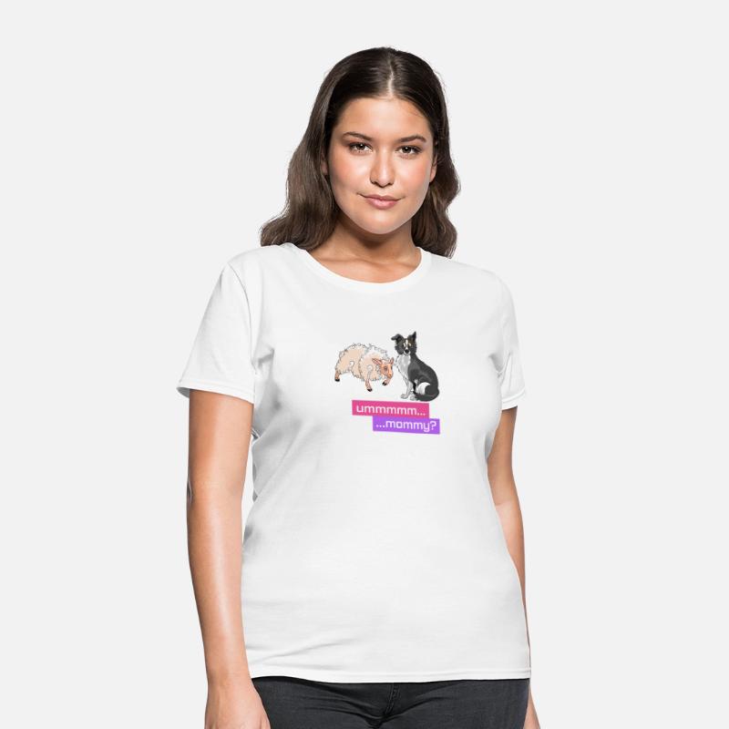 Sheep Herding Border Collie