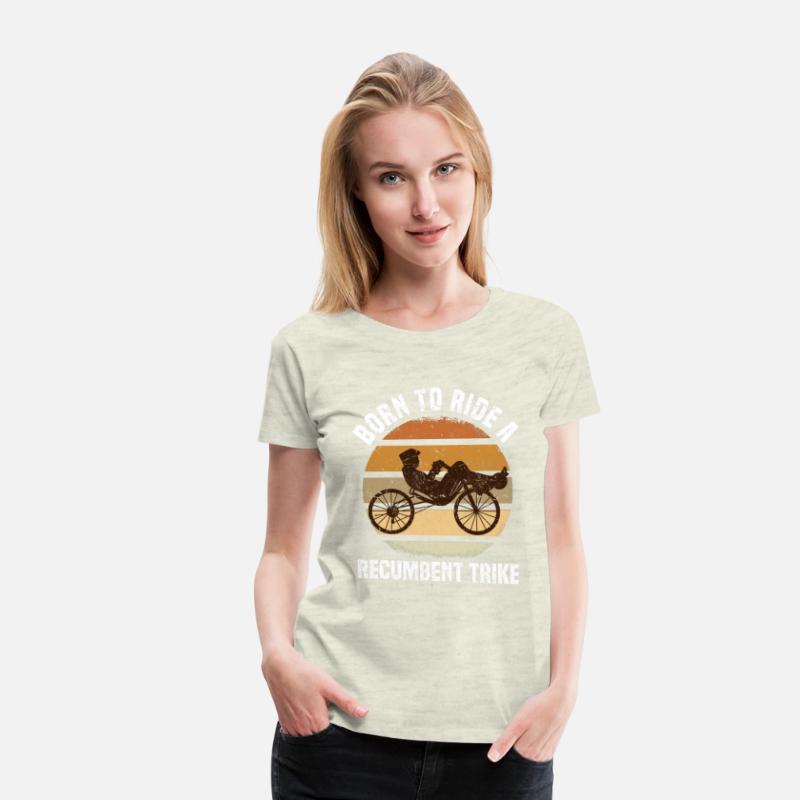 Velomobile | Recumbent Trike Triker Sport Gift