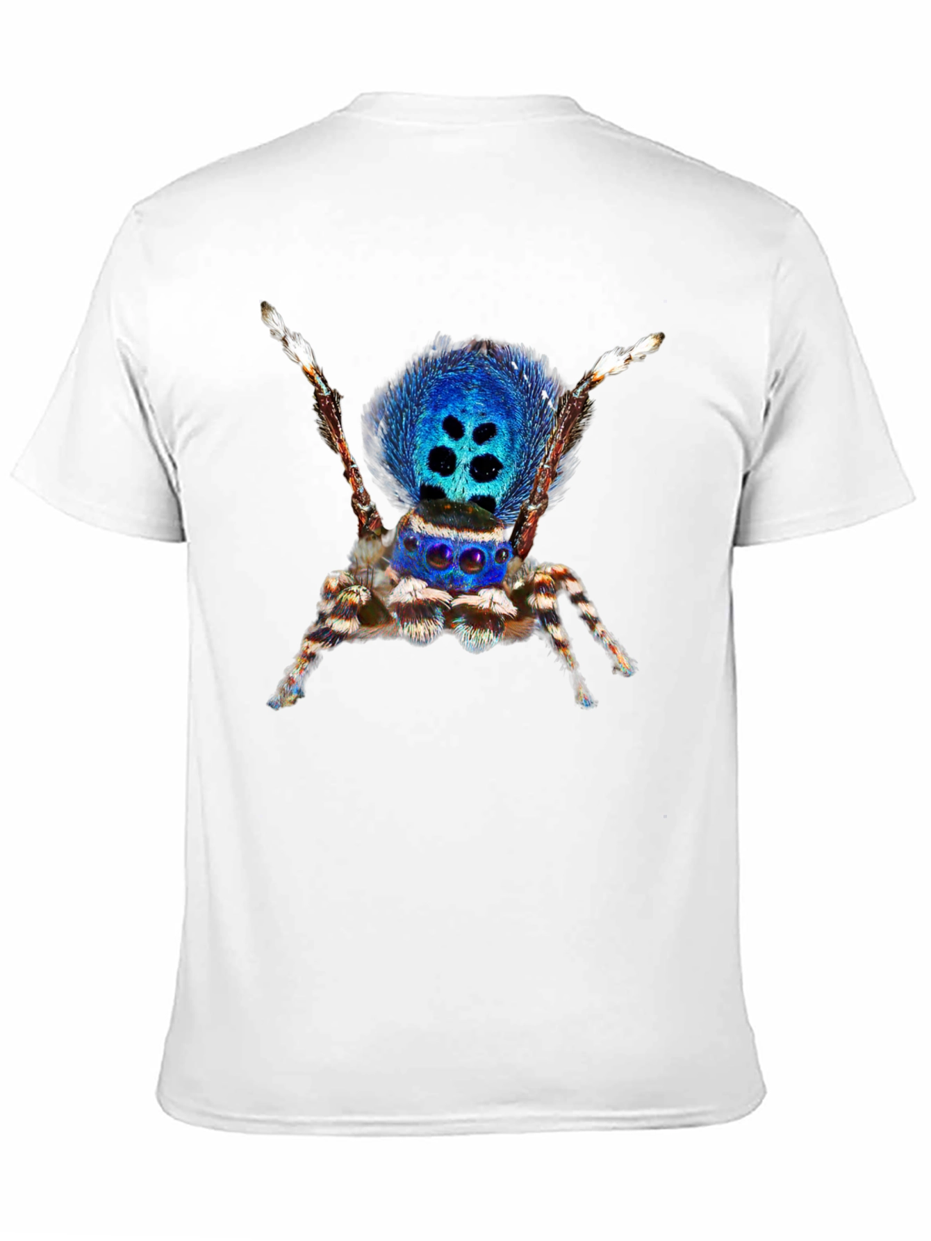 Blue Spider Graphic Tee - Unique Insect Design
