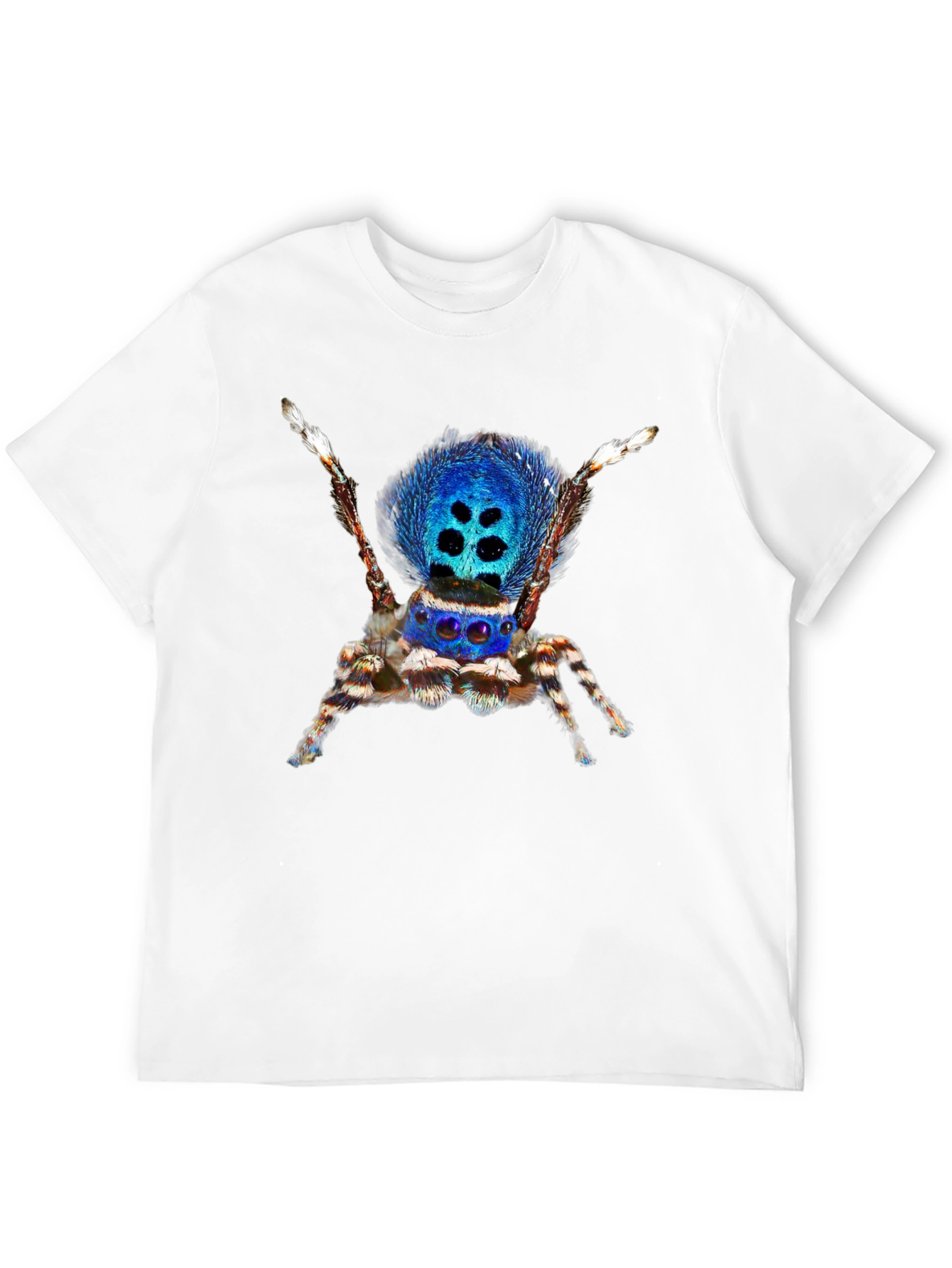 Blue Spider Graphic Tee - Unique Insect Design